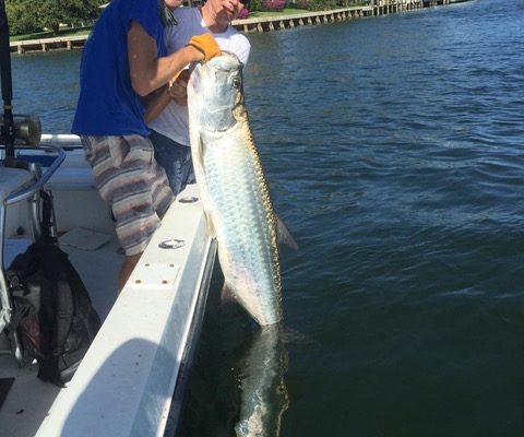 Capt Robert with a big tarpon caught on an inshore fishing trip with Fishing Headquarters