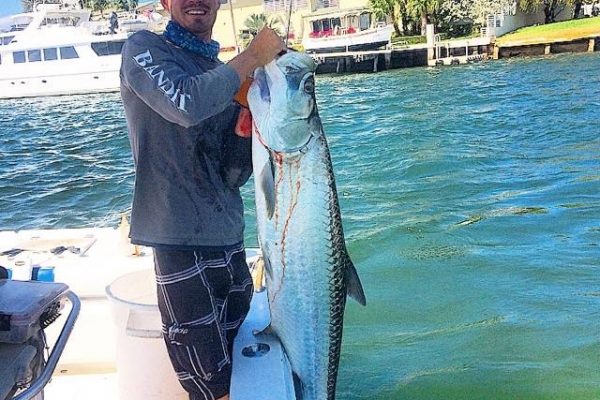 Capt. Robert with Fishing Headquarters with a nice tarpon caught in the Ft Lauderdale Intracoastal