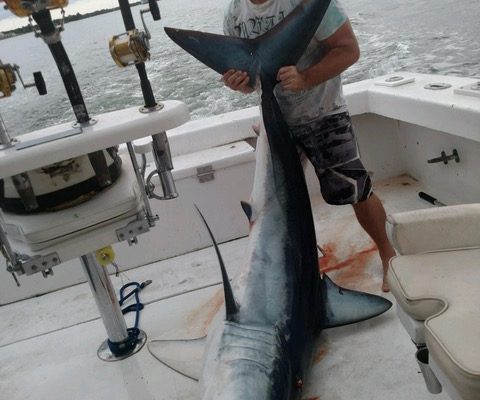 Nice mako shark caught on a shark fishing charter with New Lattitude Sportfsihing