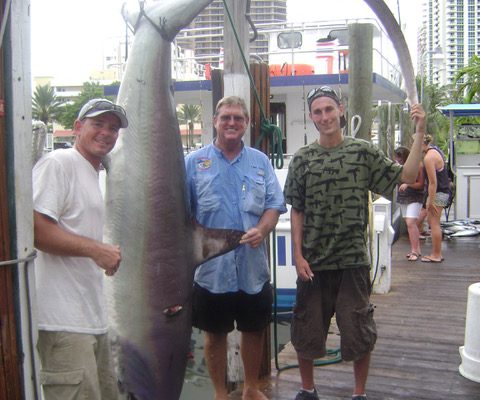 sharkfishing2