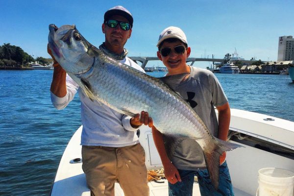 tarpon