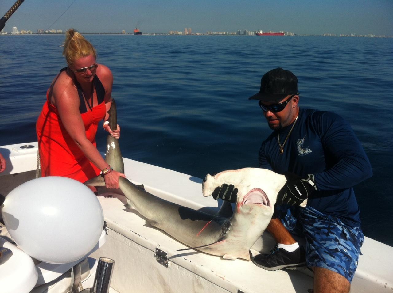 Fort Lauderdale Shark Fishing Season is Here