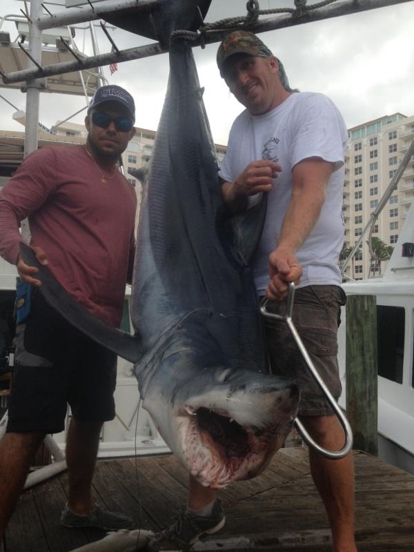 300 pound Mako Shark caught on Shark Fishing Charter