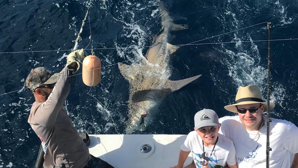 Mate holding a shark on the line, next to the boat, with the anglers looking up to the camera excited about their big catch.