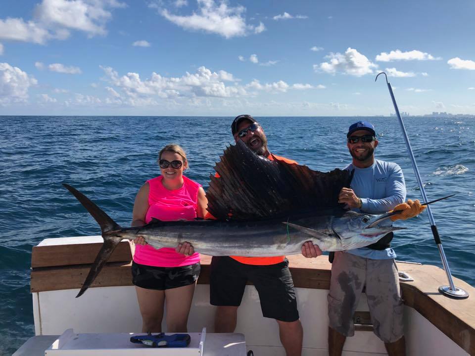 Sailfish, Sharks and Swordfish! – New Lattitude Sportfishing